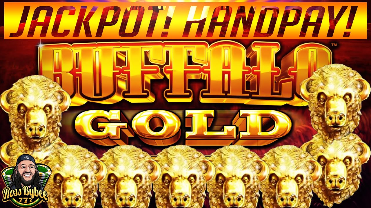 Buffalo gold slot machines
